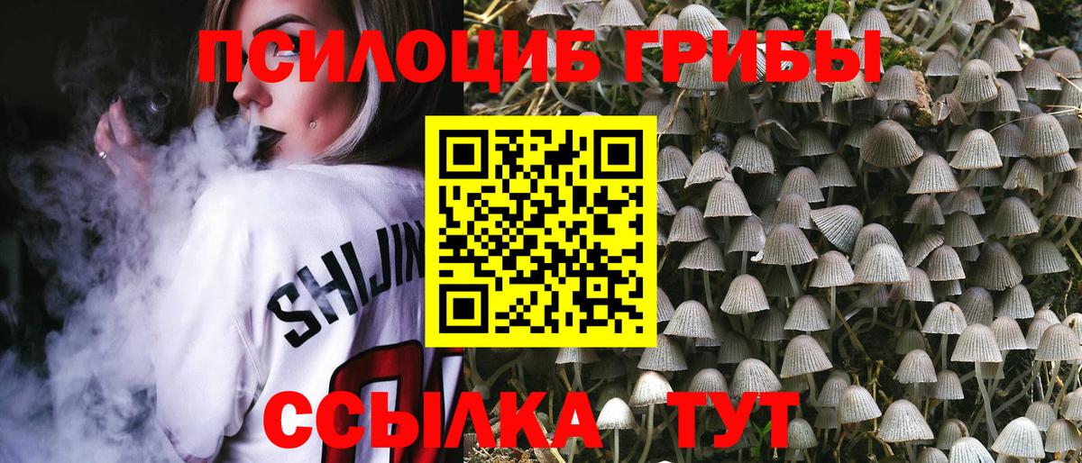 Галлюциногенные грибы MAGIC MUSHROOMS  Вход с VPN  купить   Радужный  Галлюциногенные грибы мицелий 